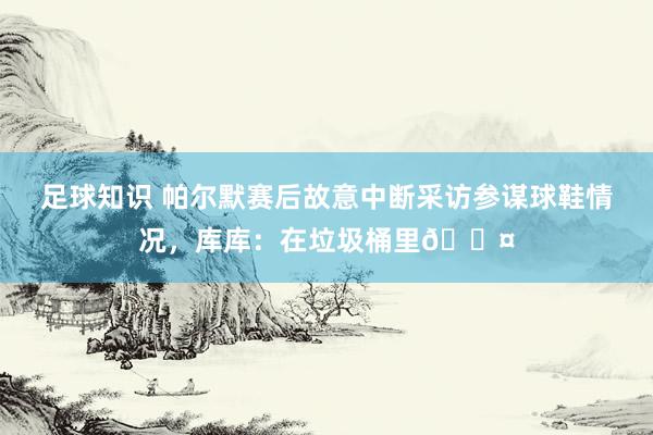 足球知识 帕尔默赛后故意中断采访参谋球鞋情况，库库：在垃圾桶里😤