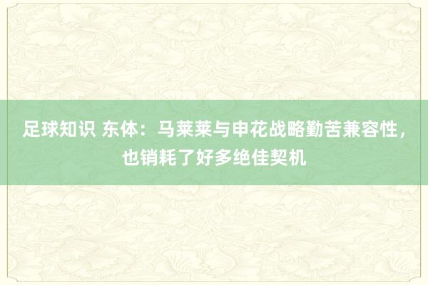 足球知识 东体：马莱莱与申花战略勤苦兼容性，也销耗了好多绝佳契机