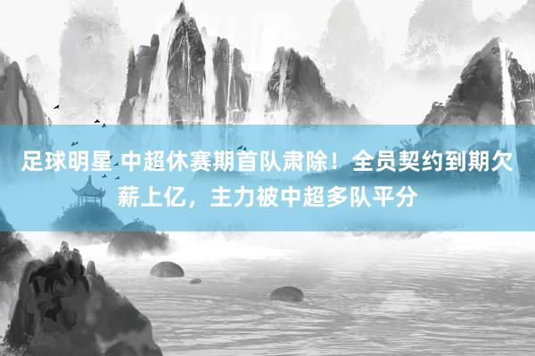 足球明星 中超休赛期首队肃除！全员契约到期欠薪上亿，主力被中超多队平分